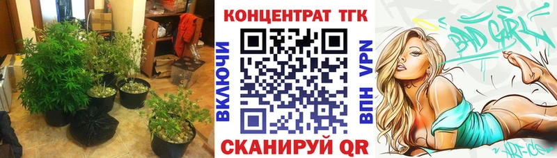 как найти закладки Иноземцево Дистиллят ТГК вейп