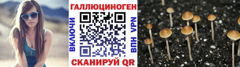 Псилоцибиновые грибы MAGIC MUSHROOMS купить сайты Иноземцево
